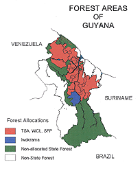 Guyana Timber