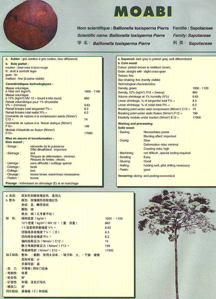 Genesis Douka Species