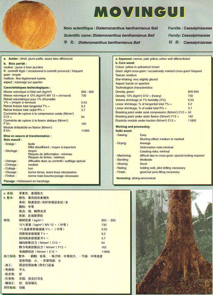 Genesis Douka Species