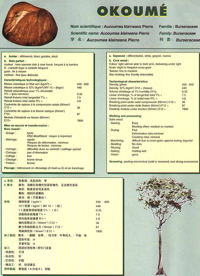 Genesis Douka Species