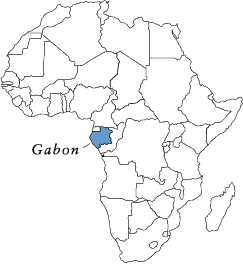 Genesis Timber Gabon